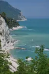 Fiori del Conero