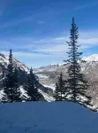 Telluride Viking Condo with River and Mountain Views! - Bergblick