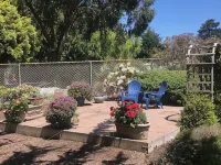 OCTOPUS SUITE, fire pit, BBQ, wildlife viewing platform, shared oceanfront deck.