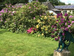 Beautiful Studio located in the Shropshire countryside near Bridgnorth