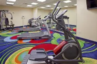 Holiday Inn AUSTIN NORTH - ROUND ROCK by IHG - gimnasio