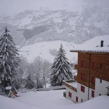 Stylish 1-Bed apartment in the Ski and Thermal Spa Resort of Leukerbad