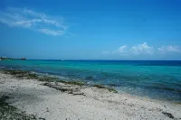 Discover Your Ocean Paradise at Villa Coronado: Your Dream Getaway Awaits! - 4 星級