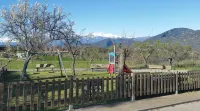 Casa Alegria de Lamata. Newly built, ground floor, accessible. - 2-Star