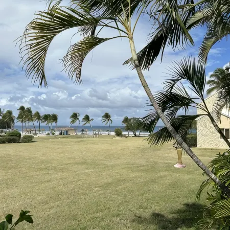 TROPICAL HAVEN