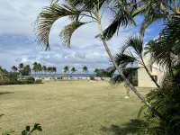 TROPICAL HAVEN - Swimmingpools