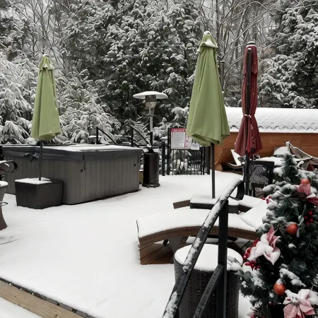 Hottub, Sauna, Deck, Backyard, Hi-Speed Internet