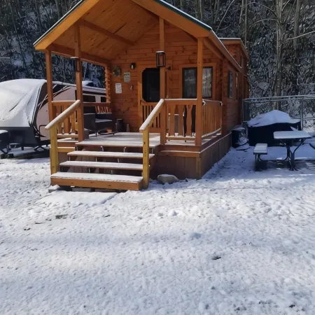 Forest Getaway