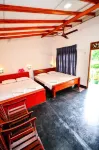 Wildlife Safari House - Rooftop Pools