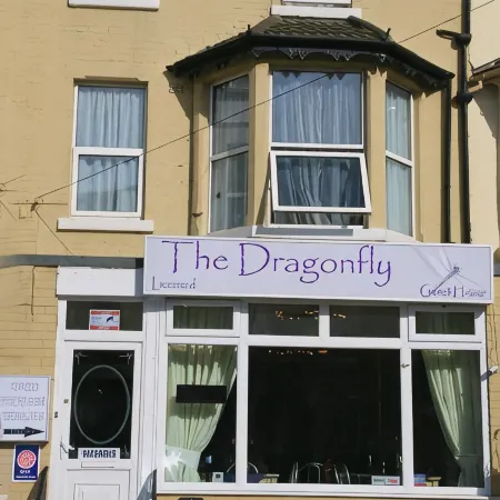 The Dragonfly