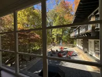 Beautiful Mid-Century Modern Home in Downtown Waynesville - 3-Star