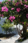 Apollonia Hotel - Wifi