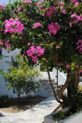 Apollonia Hotel - WiFi