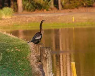 Penny-Wise Paradise In Pawleys Island - 3-Star