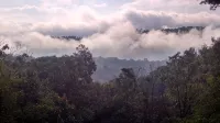 Beautiful Mountain View, Secluded Romantic, Family Friendly, WiFi, Discounted