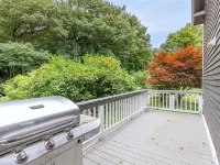 Meredith Town & Trail Cottage - Walkable to Water/Downtown, Dogs ok! Hotels in Meredith