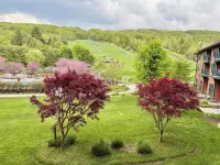 Condo at Mtn Creek Sleep 4 Mountain View 1 Bdr 1 Bath #308 - Wifi