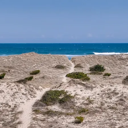 Oceanfront Pet-Friendly House with Private Pool in Salvo