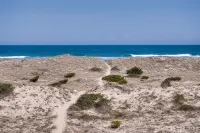 Oceanfront Pet-Friendly House with Private Pool in Salvo - Pools
