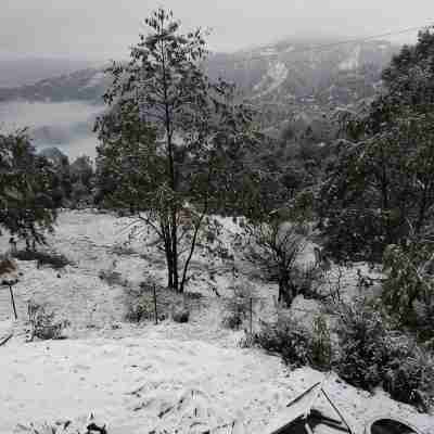Jfr Studio Apartments Kausani Others