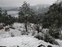 Jfr Studio Apartments Kausani -  Apartamentos vacacionales
