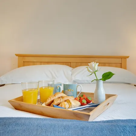 Lionsgate View, luxury apartment right opposite Alnwick Castle