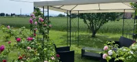 B&B le Rose - Wifi