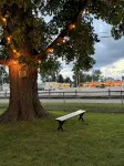Stay Now on the GOTL Strip! Across from Eddie's Grill, Steps from Multiple Bars - Boutique