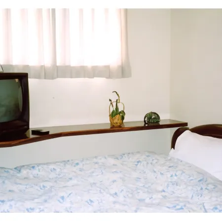 Business Hotel Tanabe Sunshine