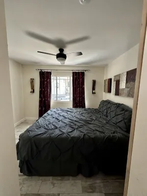 Casita Steps from Beautiful Tampa Bay, Relaxing Pool, Kayaks, Beach Gear - Condos