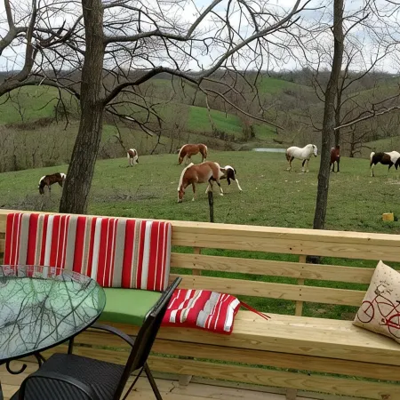 Little White Cottage-Country Setting In Town Just 5 minutes to The Ark Encounter