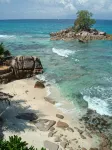 Beachfront Creole villa with incredible ocean views and private plunge pool -  Holiday Villas