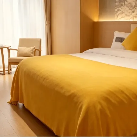Jinchen · High Altitude Garden Hotel (Anshun West High-speed Railway Station Branch)