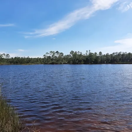 Relaxing 3 BR home close to Water, NAS, Perdido