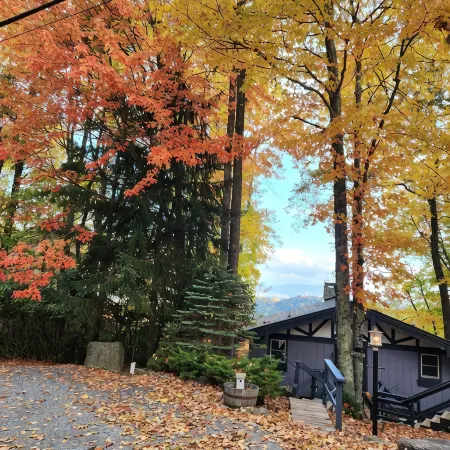 Legal Beech Bum Mountain Legal Retreat