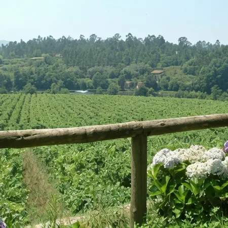 Quinta do Burgo - Nature Hotel