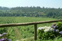 Quinta do Burgo - Nature Hotel - マウンテンビュー