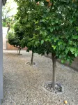 FUN IN THE ARIZONA SUN! HEATED POOL! - 2-Star
