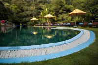 Yasmin Hill Longevity Oasis - Business