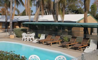 a large pool with a green awning is surrounded by palm trees and lounge chairs at Lone Pine Motel