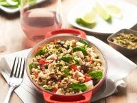 하얏트 플레이스 멤피스 울프체이스