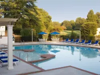 Williamsburg Lodge, Autograph Collection - Pools