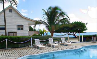 a large swimming pool surrounded by lounge chairs and palm trees , with a house in the background at Paradise Villas