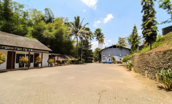 a tropical village with palm trees , buildings , and a road , under a blue sky dotted with clouds at Bwalk Hotel Malang