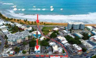 The Surfing Turtle - Housity