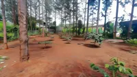 Casa Woods Resort @ Araku Valley Hotel dekat Borra Caves