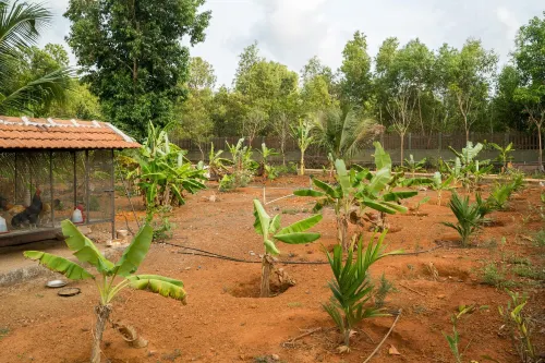 Balkatmane Homestay- A Wandertrails Stay
