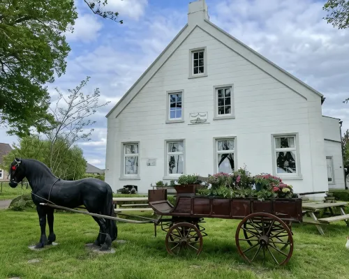 Steinhaus Hof Hotels in Bunde