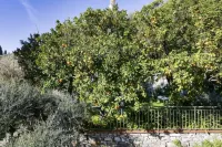 Wonderful Italy的雷科海景公寓帶花園 Zhang Aishan附近的飯店