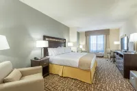 Holiday Inn Express & Suites Denver South - Castle Rock